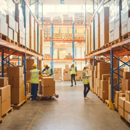 12 Retail Warehouse full of Shelves with Goods in Cardboard Boxes, Workers Scan and Sort Packages, Move Inventory with Pallet Trucks and Forklifts. Product Distribution Delivery Center.